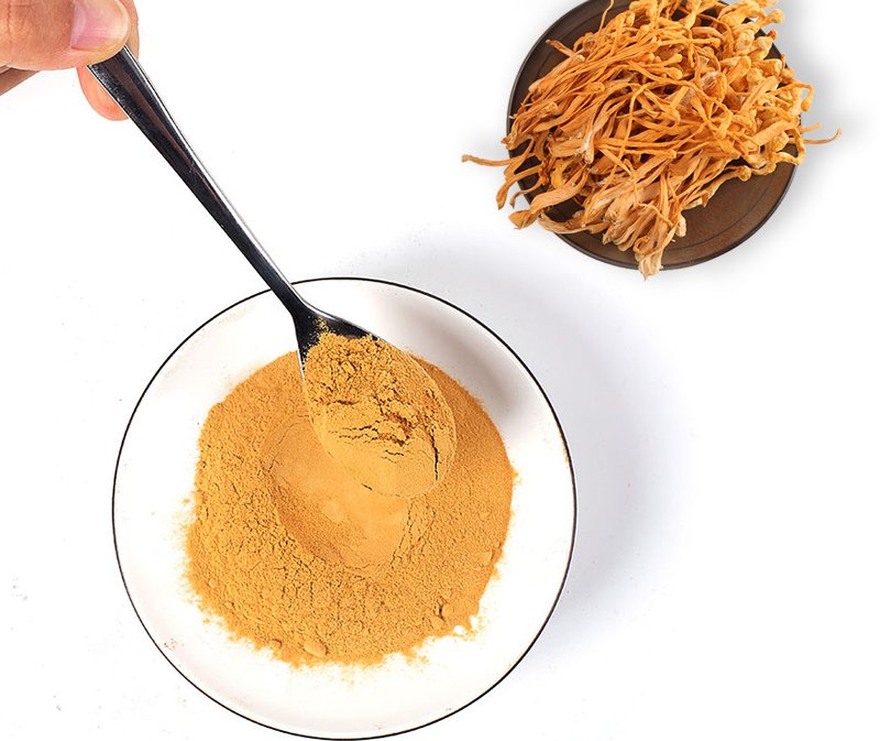 cordyceps powder with a spoon in a bowl