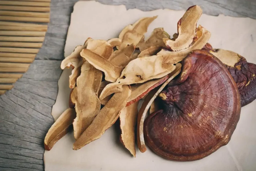 Properties in Reishi good for skin
