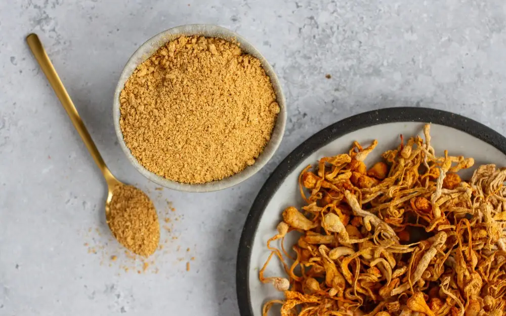 cordyceps militaris with its powder