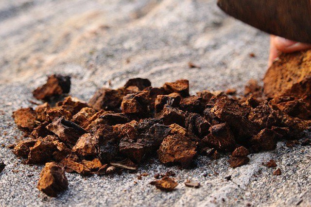 cut up chaga ready for making chaga tea