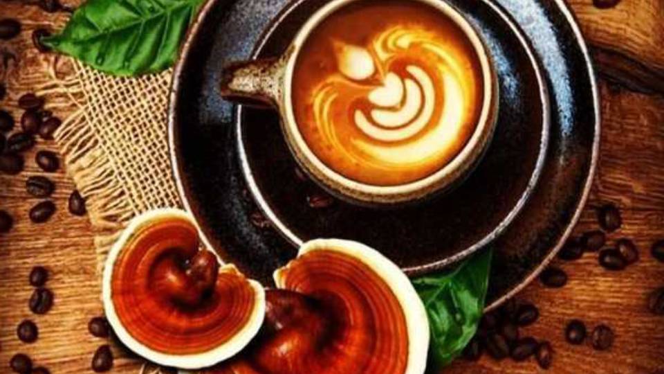Ganoderma coffee with reishi mushrooms