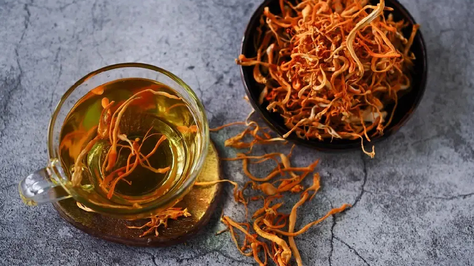 Cordyceps mushrooms and a freshly brewed cup of cordyceps tea