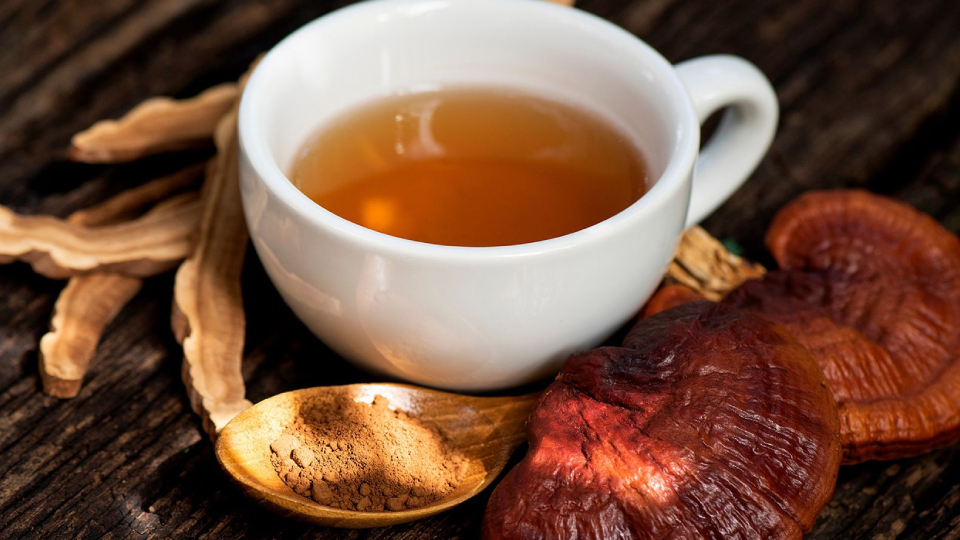 Reishi mushroom and cup of reishi tea