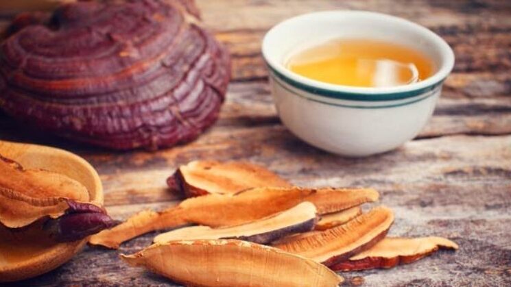 slices reishi with cp of reishi tea