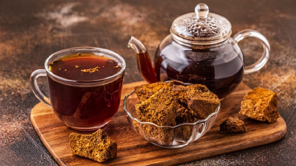 Chaga tea with tea pot