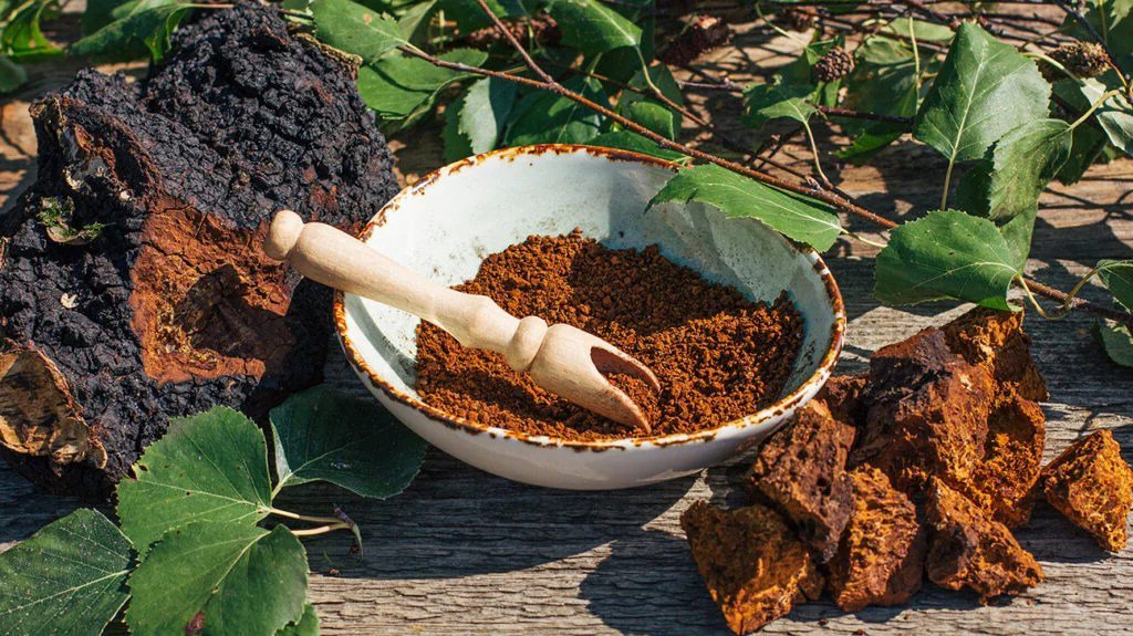 Chaga mushrooms powder in a bowl