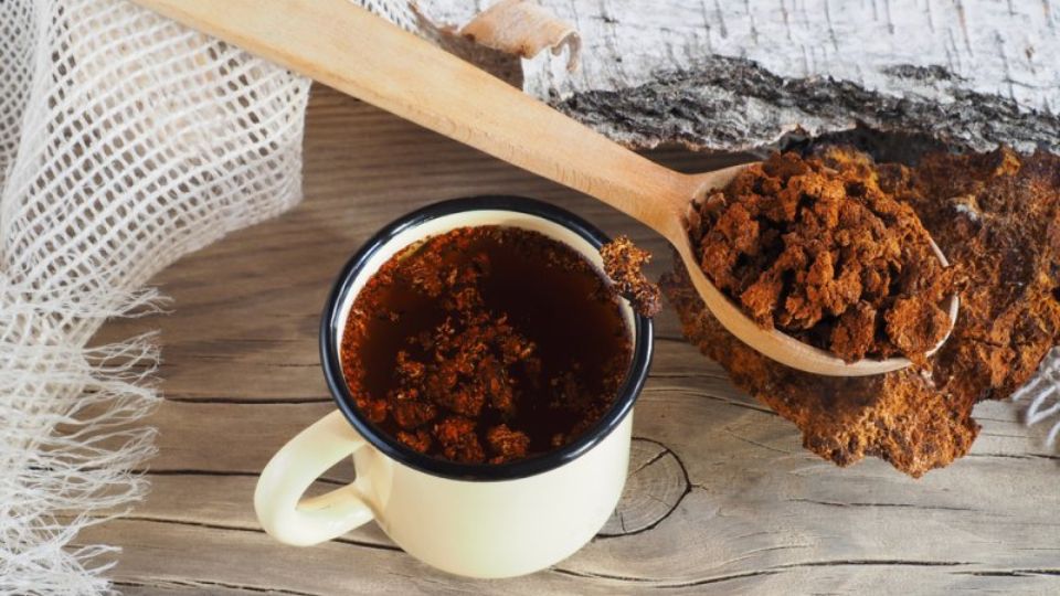 chaga coffee header