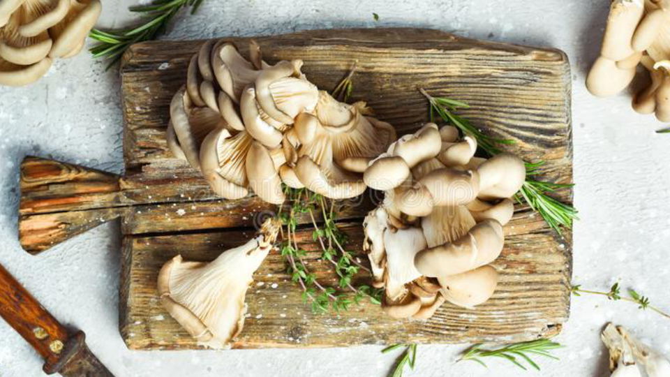 How to make maitake mushroom header