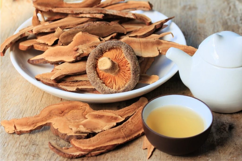 Tea made of reishi mushrooms