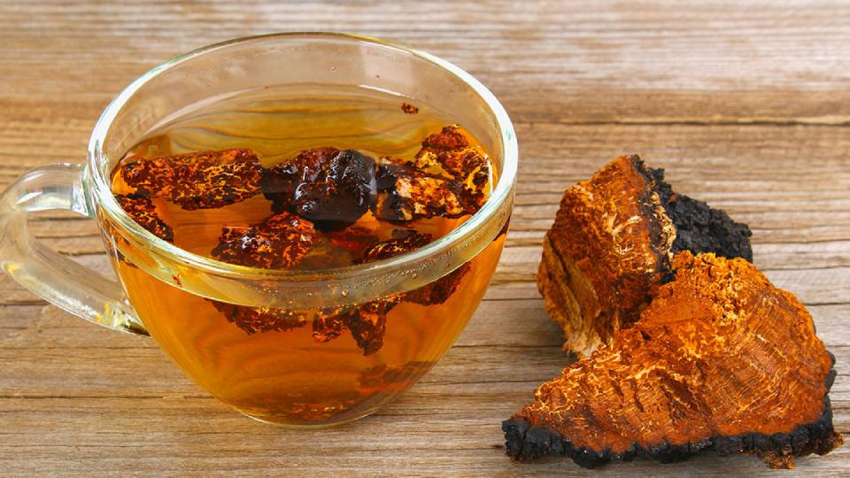 Chaga tea made from chaga chunk