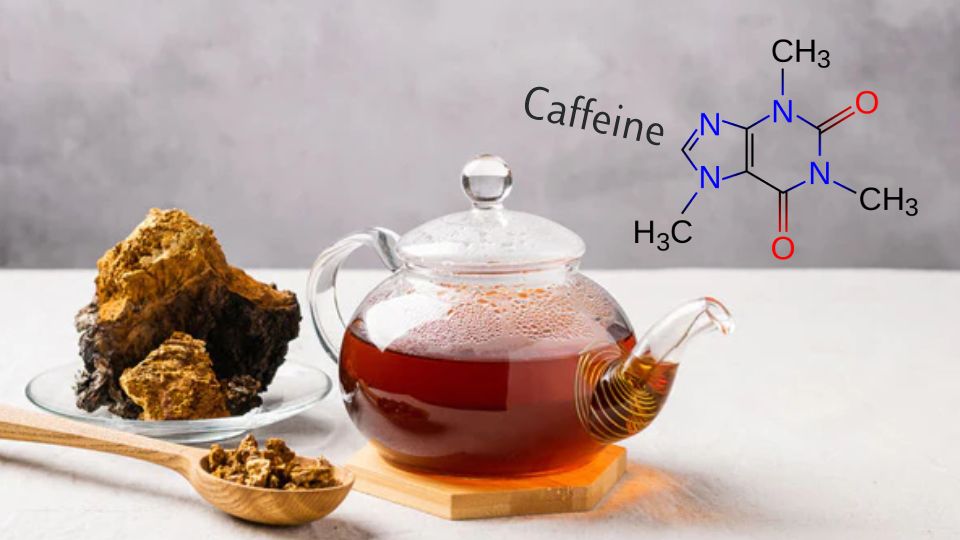 Does chaga have caffeine header