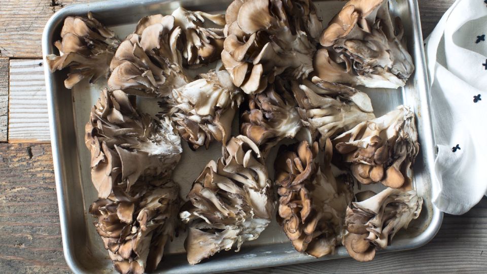Maitake mushroom reicipe header