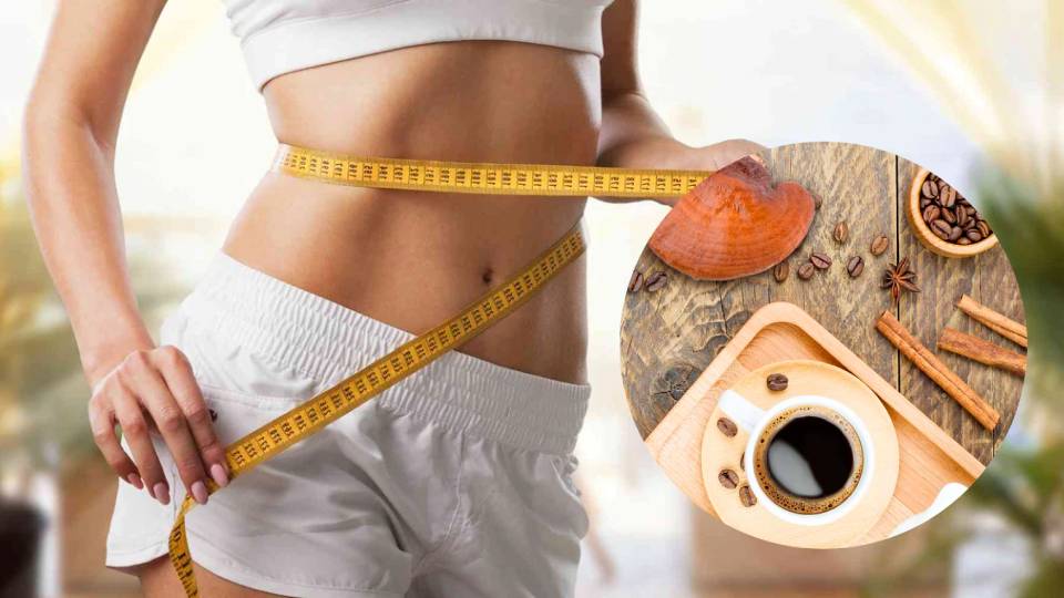 Ganoderma coffee weight loss
