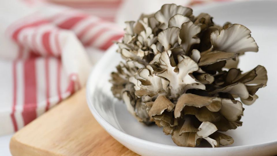 maitake where to buy header