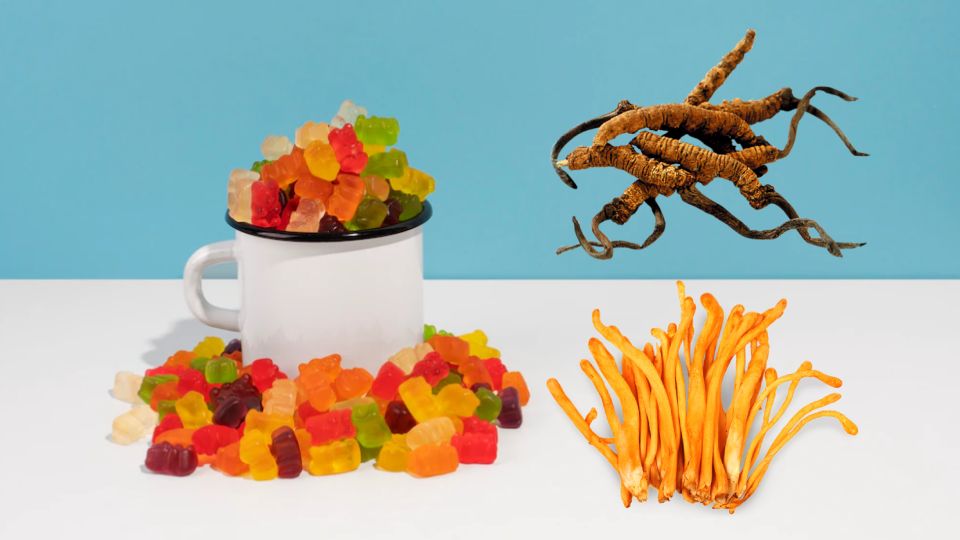 Cordyceps Gummies header