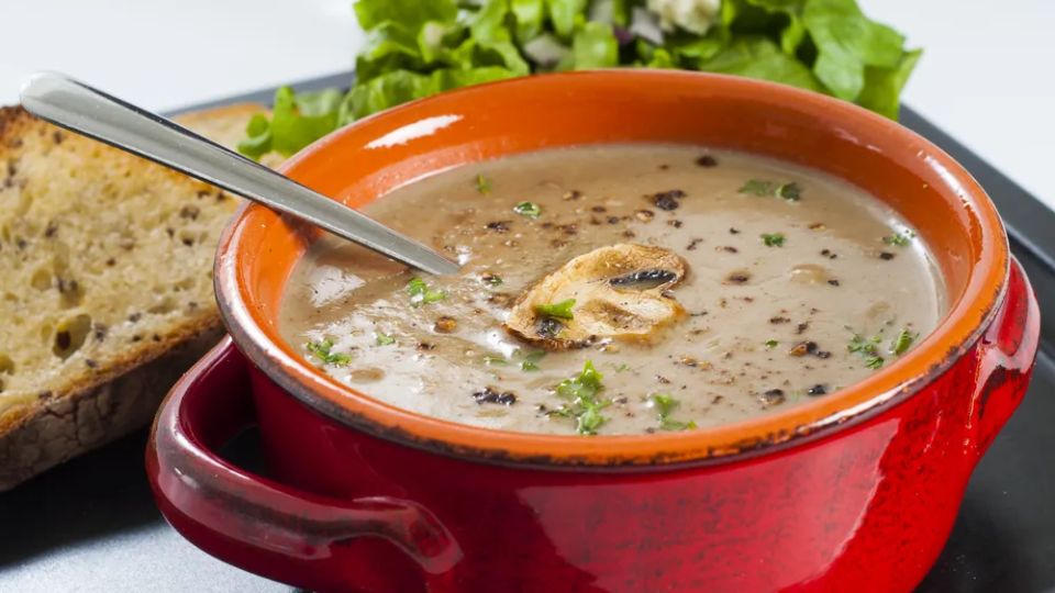 Turkey tail mushroom soup