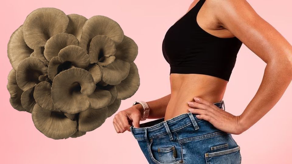 maitake mushroom weight loss header