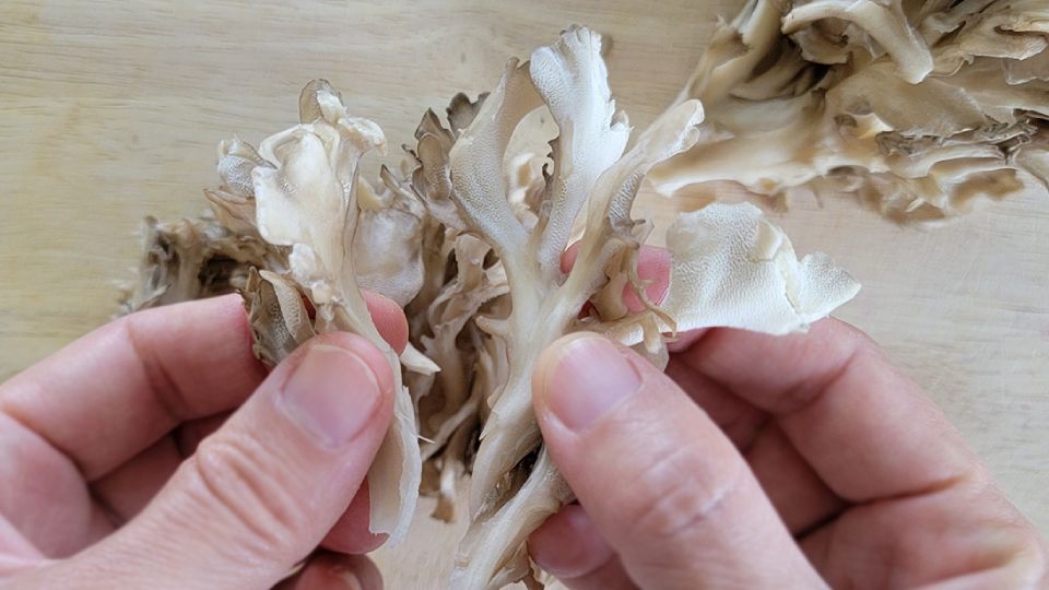 prepare maitake mushrooms