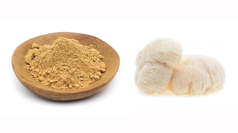 Lion's mane mushroom with Lion's mane powder in a bowl