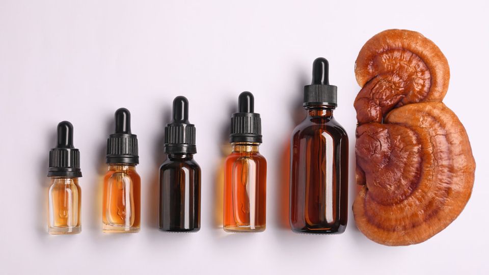 reishi mushrooms with five bottles of tinctures