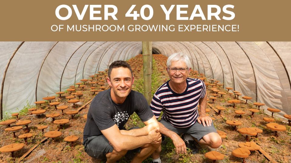 Real Mushrooms founders