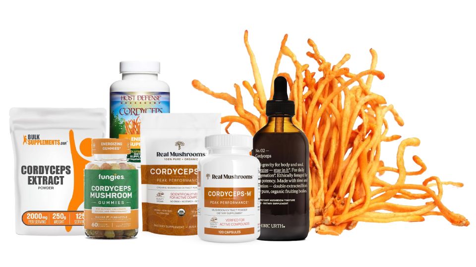 best cordyceps supplement 2023