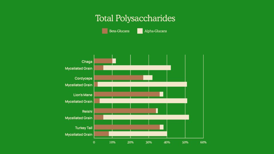 Polysaccharides Chart