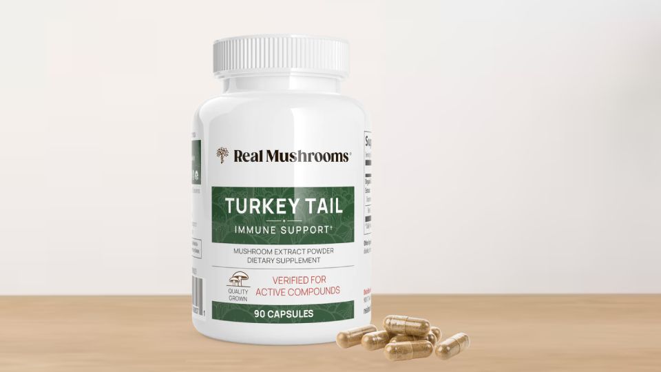 Real Mushrooms turkey tail capsules