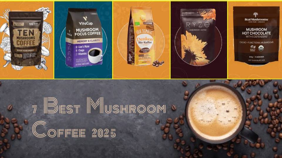 different brand mushroom coffee header