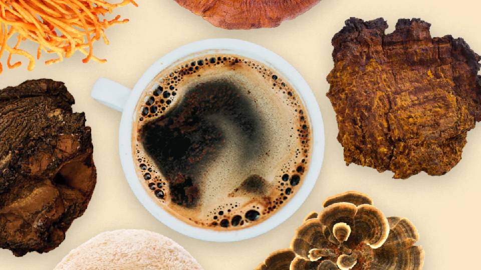 A cup of mushroom coffee surround with medicinal mushrooms