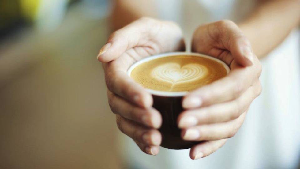 Hands hold a cup of mushroom coffee