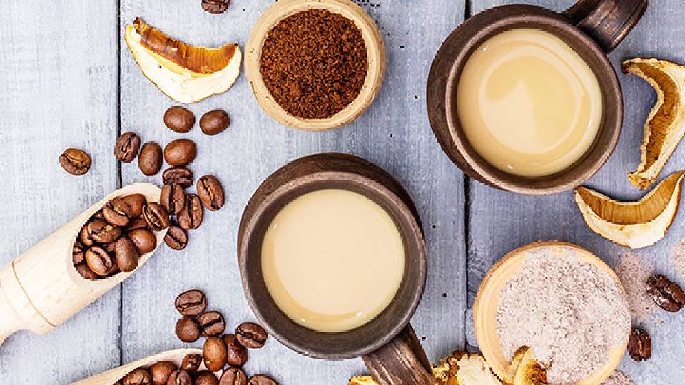 Mushroom coffee in cups with mushroom powder